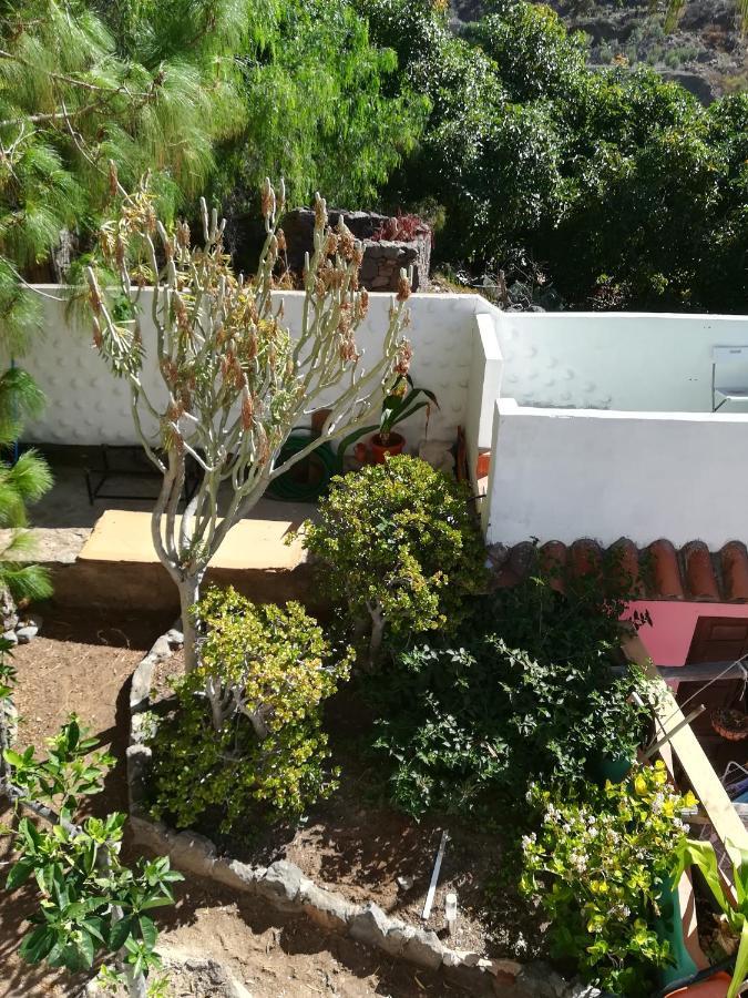Casa Mamánena Affittacamere Mogán Esterno foto