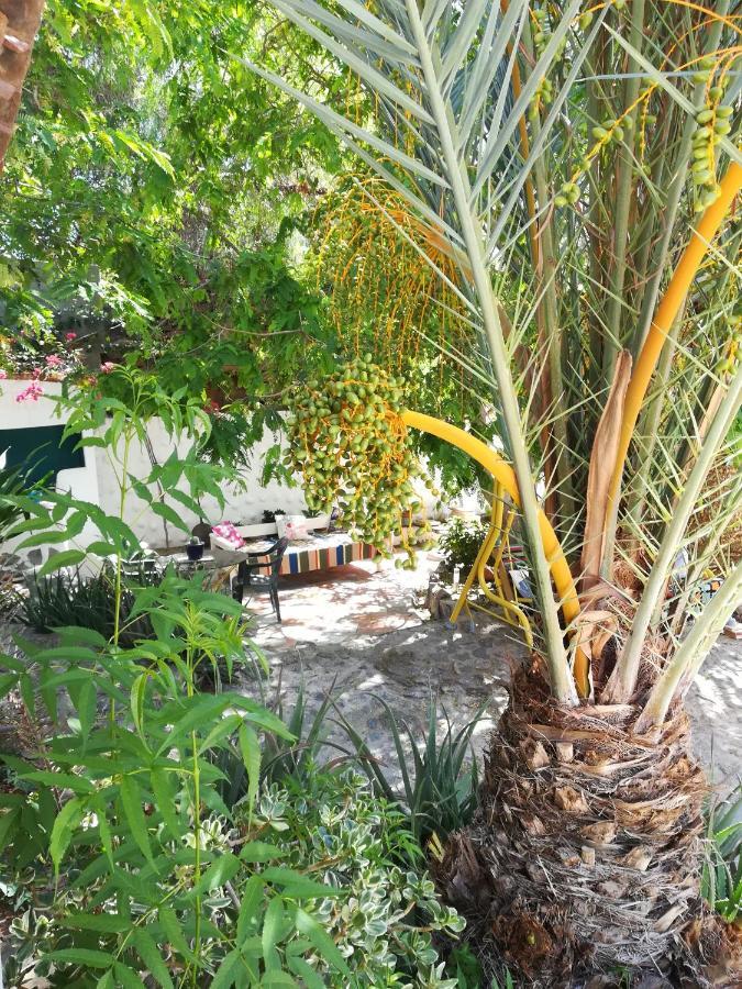 Casa Mamánena Affittacamere Mogán Esterno foto