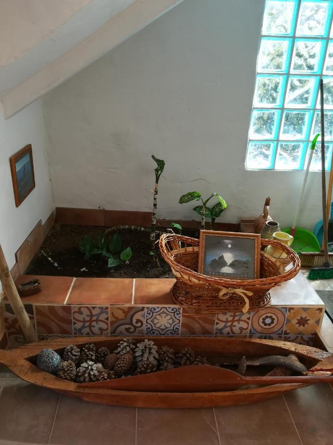 Casa Mamánena Affittacamere Mogán Esterno foto
